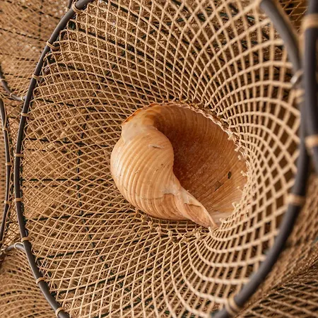 Calamoresca 4* Àrbatax