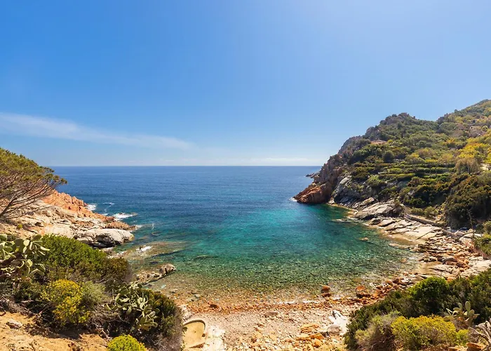 Calamoresca Àrbatax