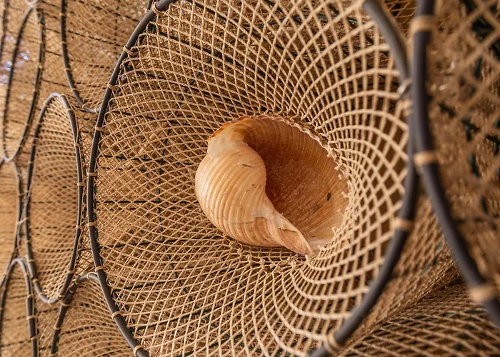 Calamoresca 4* Àrbatax